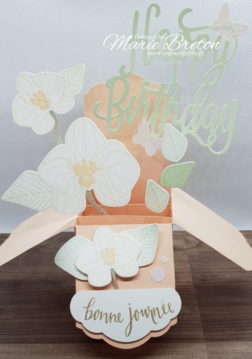 Carte Pop Up Orchidees Grimpantes Un Jour De Fete Carte Pop Up Orchidees Grimpantes Un Jour De Fete