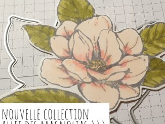 Allée-des-magnolias-stampinup