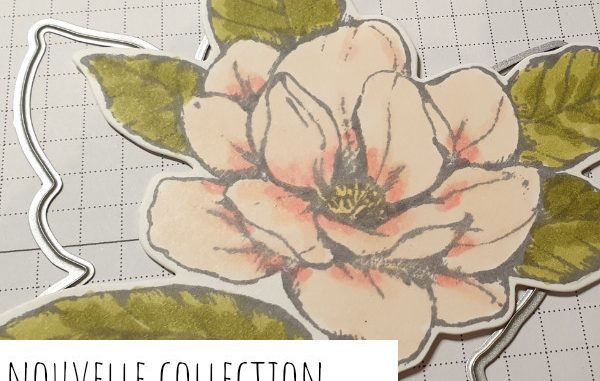 Allée-des-magnolias-stampinup.png Allée-des-magnolias-stampinup