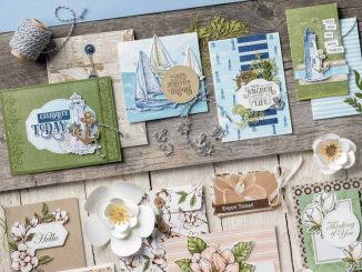 Catalogue stampin'up 2020