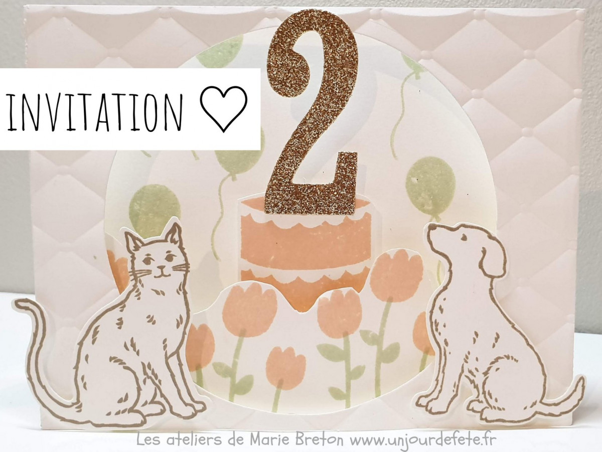 Invitation anniversaire 2ans chien et chat