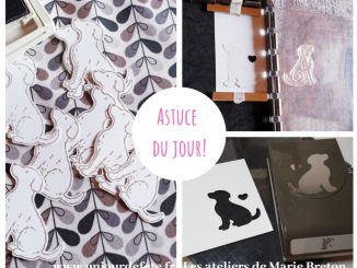 Astuce perforatrice stamparatus stampin'up.jpg