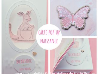 Carte naissance pop'up