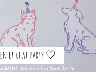 Chien et chat anniversaire