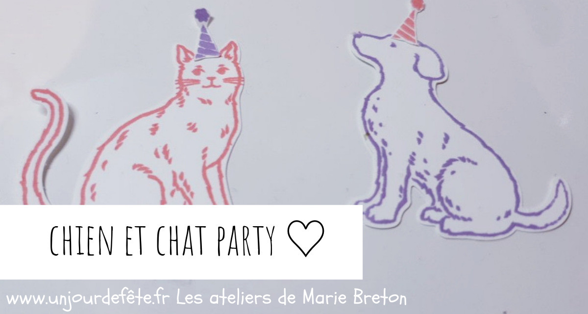 Chien et chat anniversaire