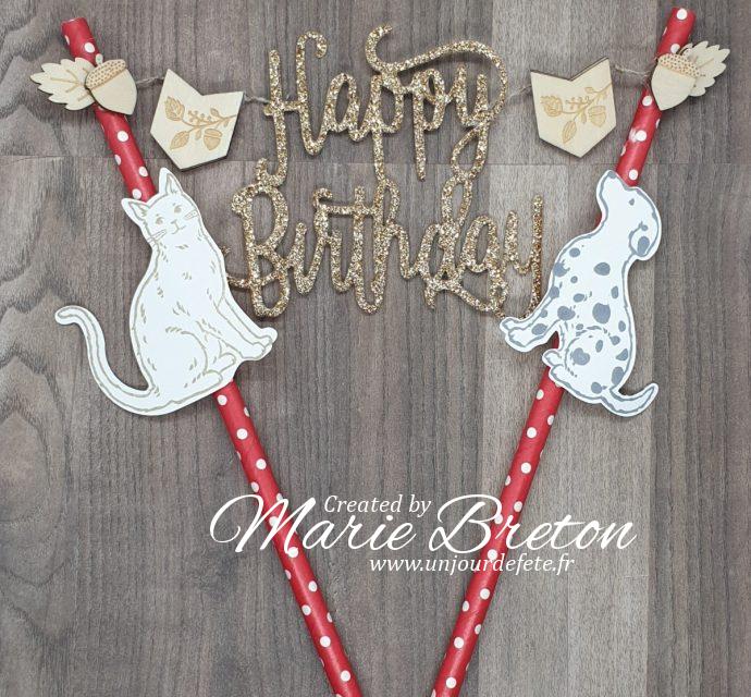 décoration gâteau anniversaire chien et chat.jpg