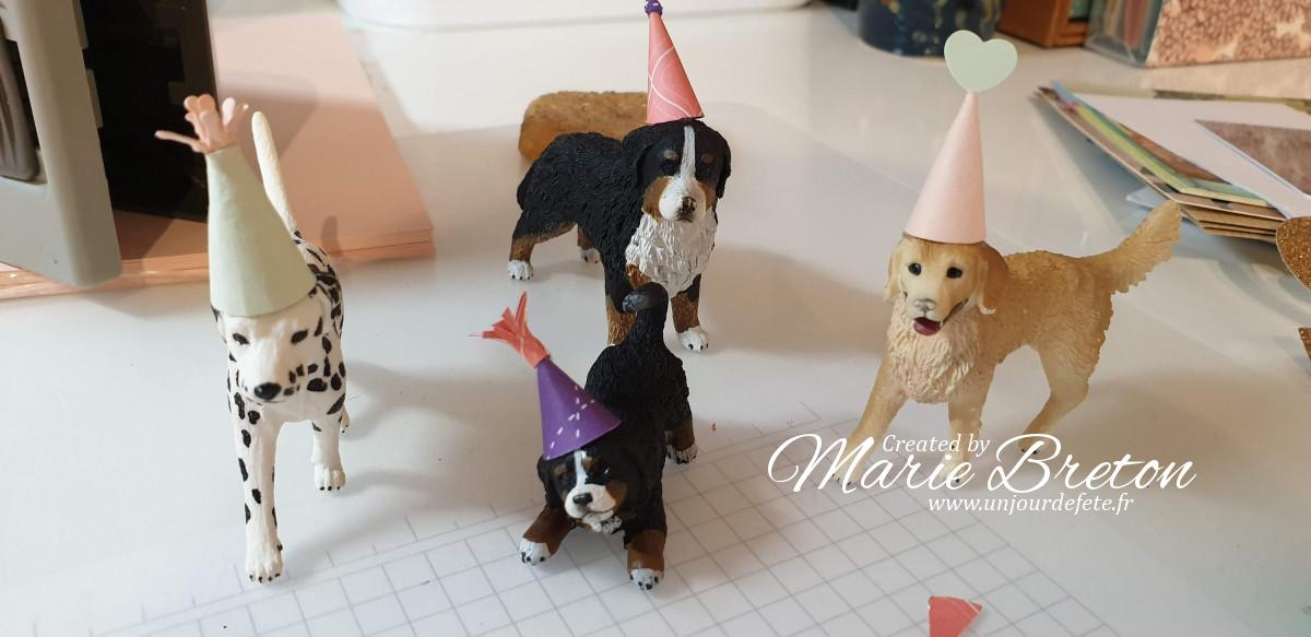 anniversaire chiens.jpg