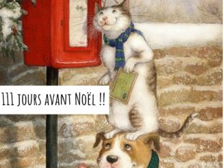 Bientôt Noël stampin'up catalogue automne-hiver2019.jpg