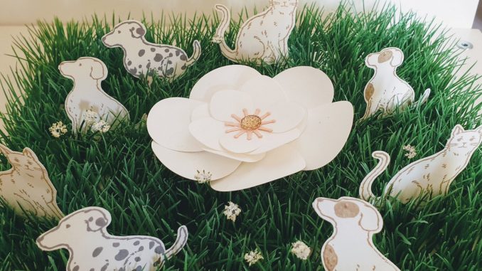 collection joyeux copain stampin'up.jpg collection joyeux copain stampin'up.jpg