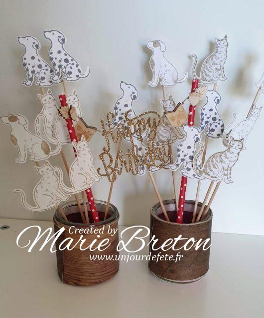 décoration gâteau anniversaire chien et chat.jpg