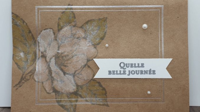 jfleur magnolia du matin .jpg jfleur magnolia du matin .jpg
