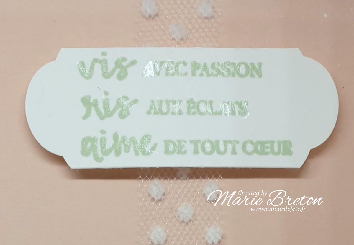 vis ris aime stampinup.jpg