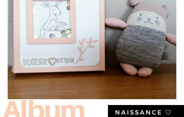 Album naissance scrap stampin'up unjourdefete.png