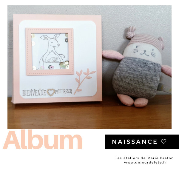 Album photo scrapbooking #6 ~Naissance 