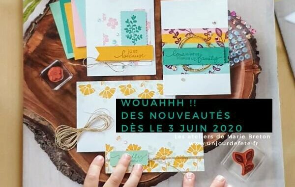 catalogue annuel stampin'up 2020-2021.jpg
